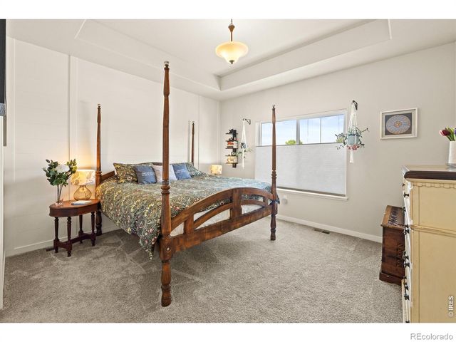 3593 Taylor Walker Street, Loveland, CO 80537