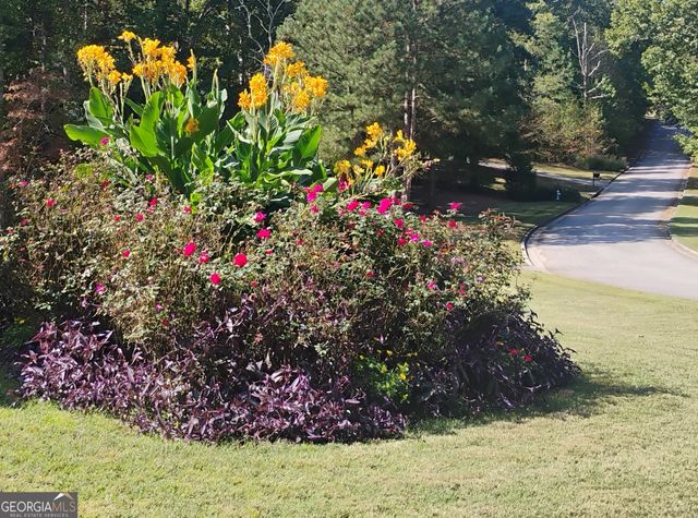 197 Evecliff Drive, Dallas, GA 30132