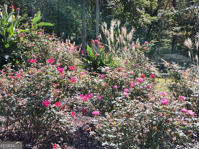 197 Evecliff Drive, Dallas, GA 30132