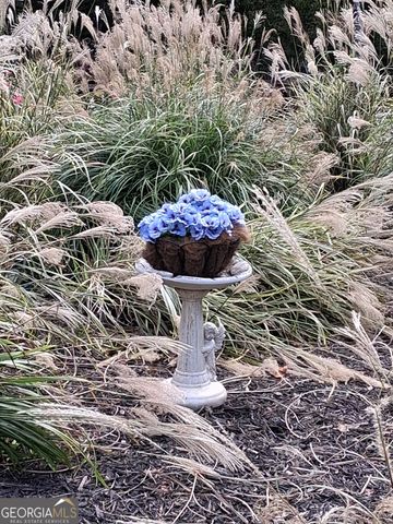 197 Evecliff Drive, Dallas, GA 30132