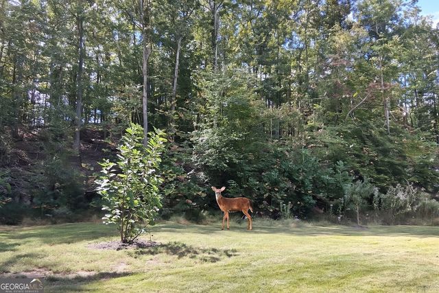 197 Evecliff Drive, Dallas, GA 30132