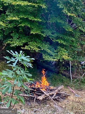 197 Evecliff Drive, Dallas, GA 30132