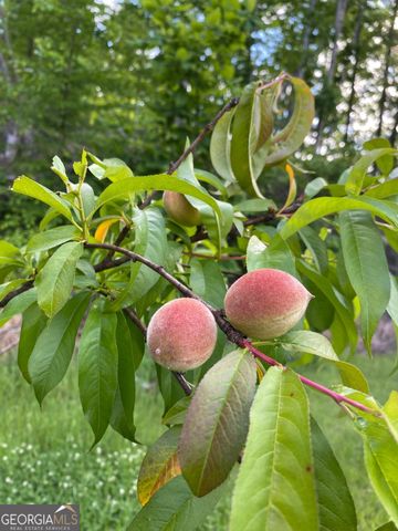 197 Evecliff Drive, Dallas, GA 30132