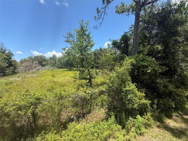 0 GOOLSBY STREET, Webster, FL 33597