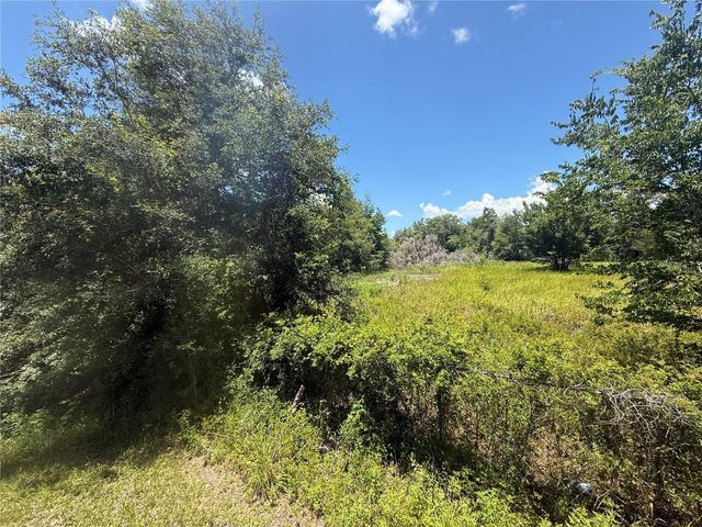 0 GOOLSBY STREET, Webster, FL 33597