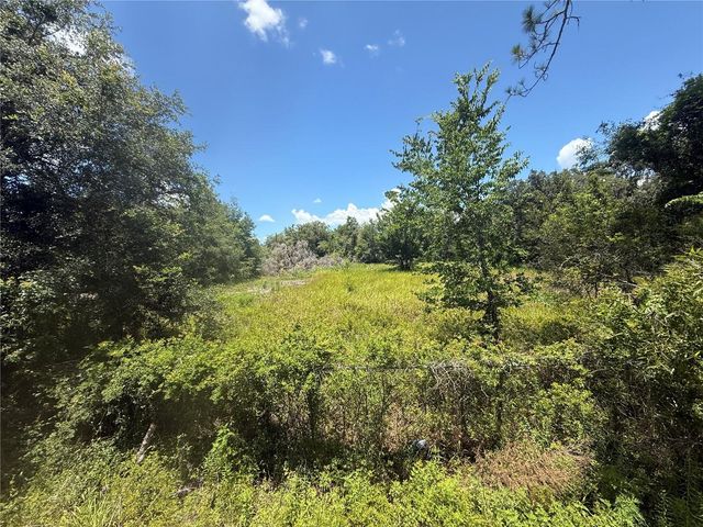 0 GOOLSBY STREET, Webster, FL 33597