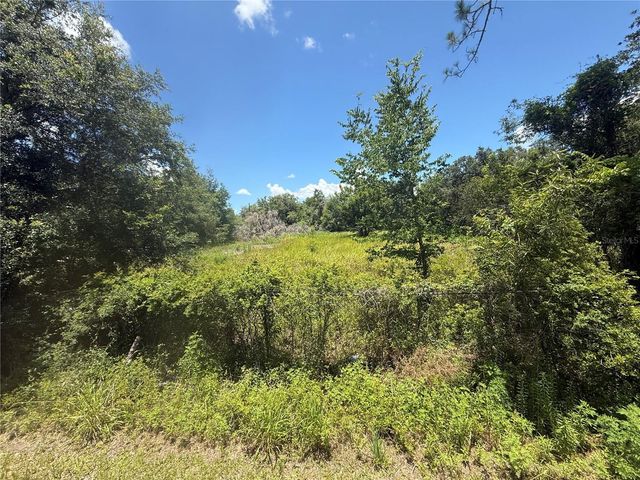 0 GOOLSBY STREET, Webster, FL 33597