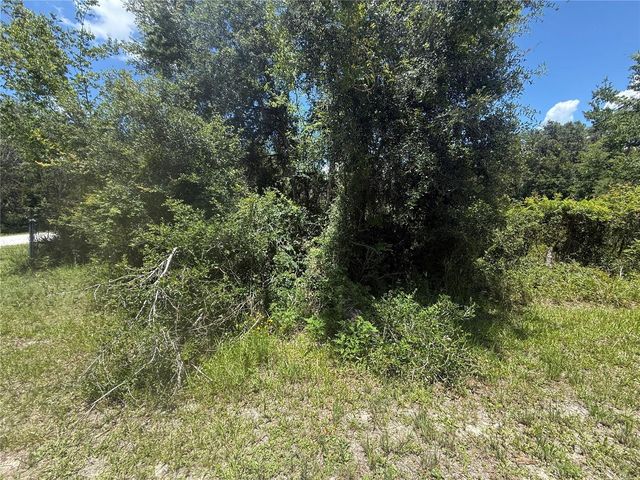 0 GOOLSBY STREET, Webster, FL 33597