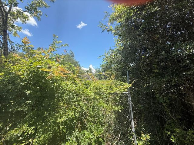 0 GOOLSBY STREET, Webster, FL 33597