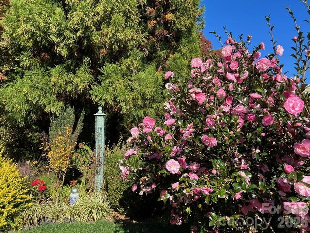 1104 Aringill Lane, Matthews, NC 28104