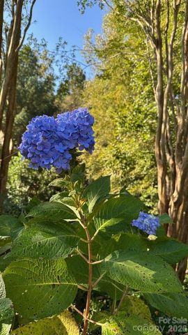 1104 Aringill Lane, Matthews, NC 28104