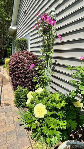 1104 Aringill Lane, Matthews, NC 28104