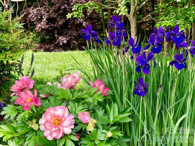 1104 Aringill Lane, Matthews, NC 28104