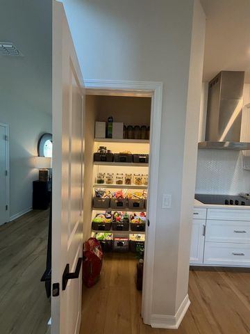 17152 CERCIS LOOP, Clermont, FL 34711