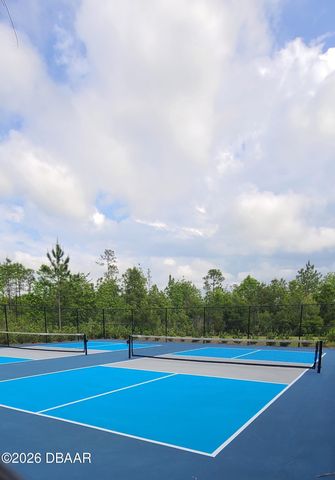 542 Armoyan Way, New Smyrna Beach, FL 32168