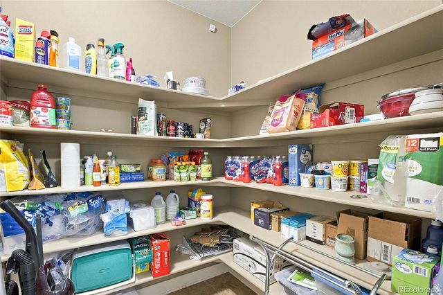 10156 Nadine Avenue, Parker, CO 80134