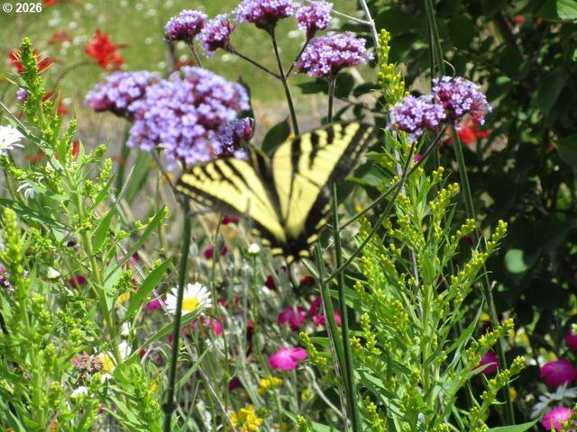 90834 COBURGHILLS Dr, Eugene, OR 97408