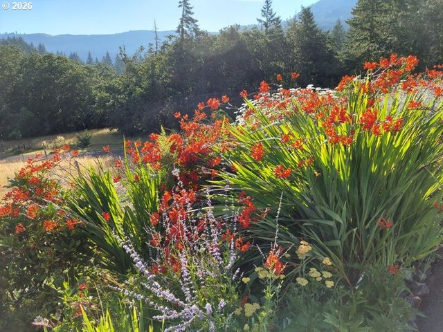 90834 COBURGHILLS Dr, Eugene, OR 97408