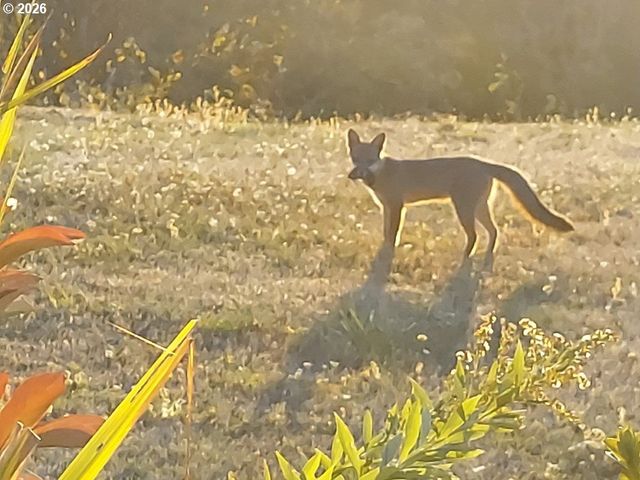 90834 COBURGHILLS Dr, Eugene, OR 97408