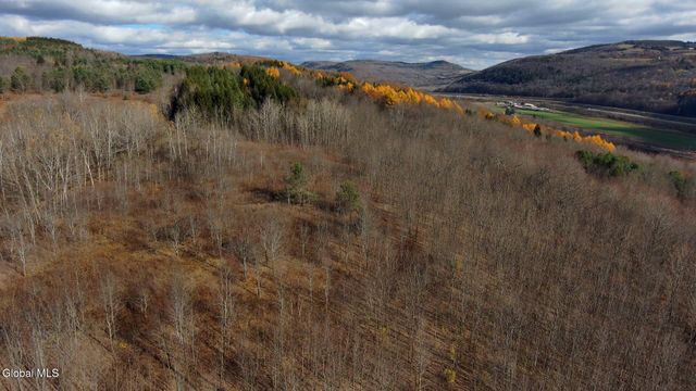 1099 W Hill Road, Worcester, NY 12197