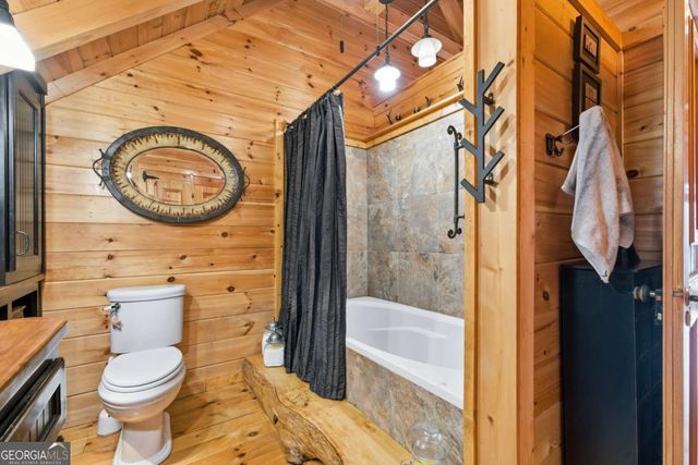246 Adams Circle, Mineral Bluff, GA 30559
