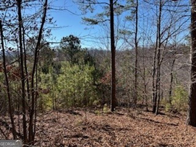 0 High Mile Ln, Blairsville, GA 30512