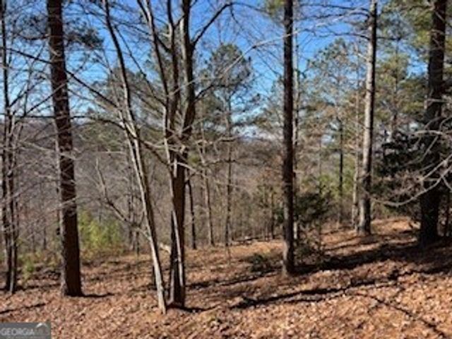 0 High Mile Ln, Blairsville, GA 30512