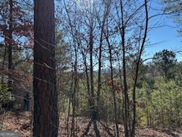 0 High Mile Ln, Blairsville, GA 30512