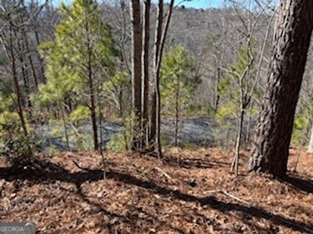 0 High Mile Ln, Blairsville, GA 30512