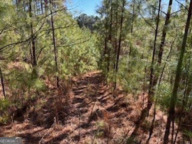 0 High Mile Ln, Blairsville, GA 30512