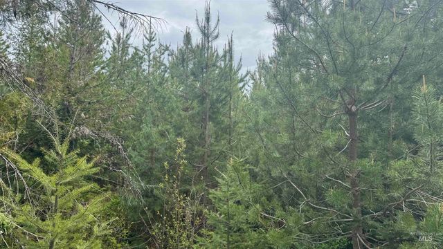 TBD Parcel 8 Bandmill Heights, Orofino, ID 83544