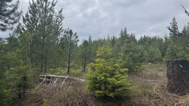 TBD Parcel 8 Bandmill Heights, Orofino, ID 83544