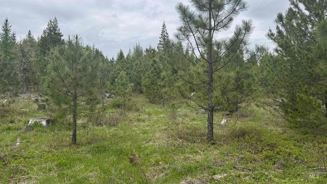 TBD Parcel 8 Bandmill Heights, Orofino, ID 83544