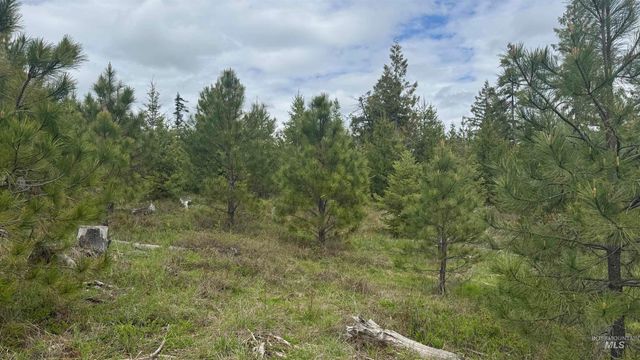 TBD Parcel 8 Bandmill Heights, Orofino, ID 83544