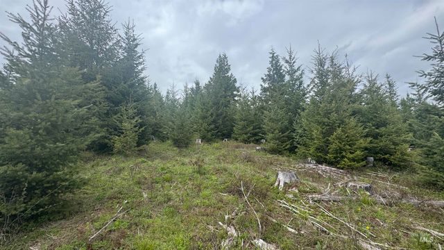 TBD Parcel 8 Bandmill Heights, Orofino, ID 83544