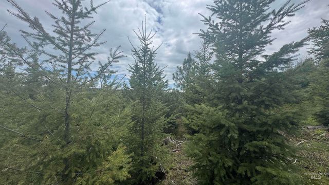TBD Parcel 8 Bandmill Heights, Orofino, ID 83544