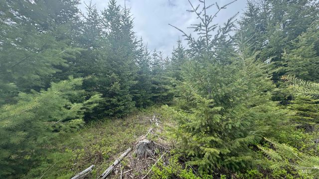 TBD Parcel 8 Bandmill Heights, Orofino, ID 83544