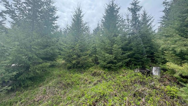 TBD Parcel 8 Bandmill Heights, Orofino, ID 83544
