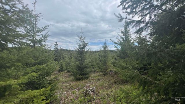 TBD Parcel 8 Bandmill Heights, Orofino, ID 83544