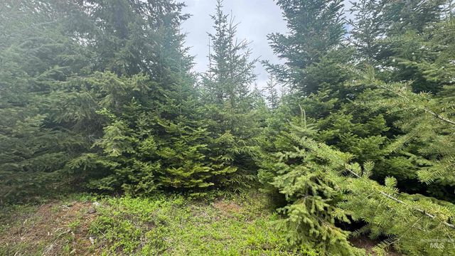 TBD Parcel 8 Bandmill Heights, Orofino, ID 83544