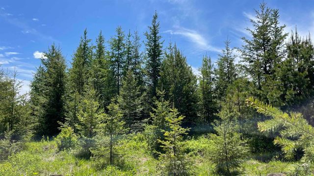 TBD Parcel 8 Bandmill Heights, Orofino, ID 83544