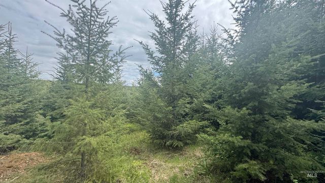 TBD Parcel 8 Bandmill Heights, Orofino, ID 83544