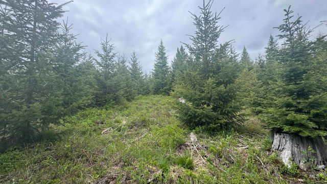 TBD Parcel 8 Bandmill Heights, Orofino, ID 83544