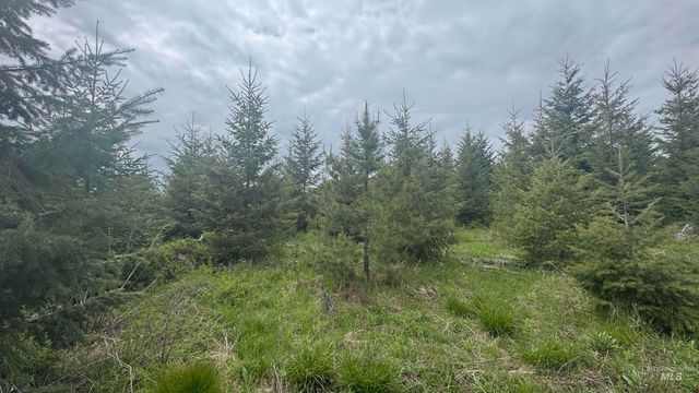 TBD Parcel 8 Bandmill Heights, Orofino, ID 83544