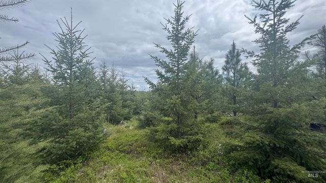 TBD Parcel 8 Bandmill Heights, Orofino, ID 83544