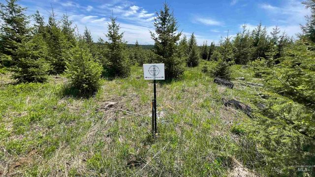 TBD Parcel 8 Bandmill Heights, Orofino, ID 83544