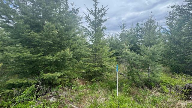 TBD Parcel 8 Bandmill Heights, Orofino, ID 83544