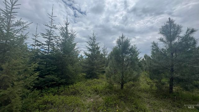 TBD Parcel 8 Bandmill Heights, Orofino, ID 83544