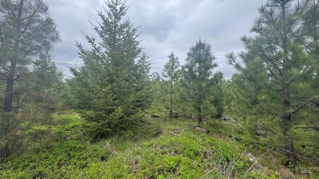 TBD Parcel 8 Bandmill Heights, Orofino, ID 83544