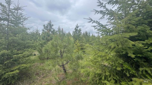 TBD Parcel 8 Bandmill Heights, Orofino, ID 83544